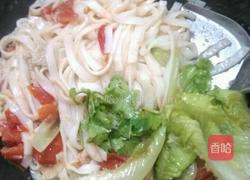 焖炒河粉的做法图解10