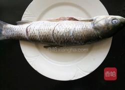 炖鱼的做法图解1