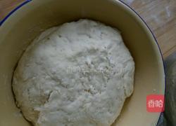 白菜猪肉包的做法图解1