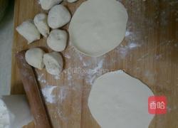 白菜猪肉包的做法图解3
