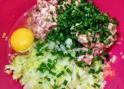 白菜猪肉饺子(麦穗饺子包法)的做法图解1