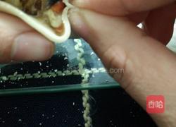白菜猪肉饺子(麦穗饺子包法)的做法图解9