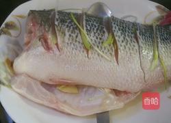 简易清蒸鲈鱼的做法图解2