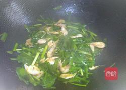 韭菜炒小米虾的做法图解6