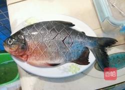红烧鲳鱼的做法图解1