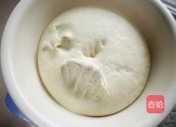 老面韭菜猪肉馅包子的做法图解1
