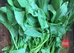 清炒菠菜的做法图解1
