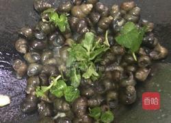 薄荷叶炒田螺的做法图解4