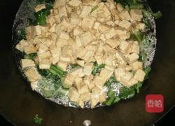 苔菜豆腐的做法图解5