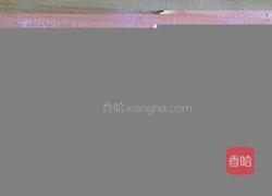 水果派的做法图解12
