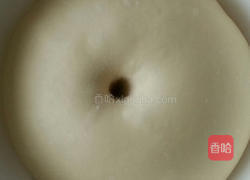 椰蓉花朵面包 冷藏中种法的做法图解5