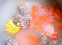 玉米胡萝卜炖脊骨的做法图解6
