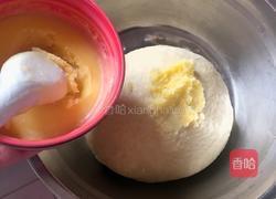 黄油面包卷的做法图解4