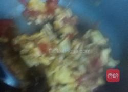 西红柿鸡蛋的做法图解14
