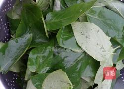 鸡屎藤糍的做法图解1
