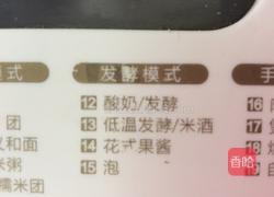 面包机自制酸奶的做法图解4