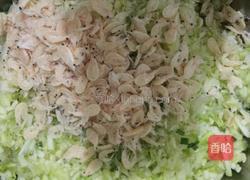 鸡蛋虾皮西葫芦水饺的做法图解1