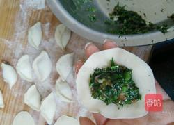 茴香饺子的做法图解6
