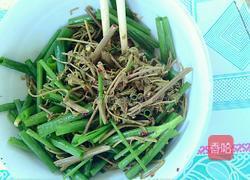 凉拌木兰芽的做法图解4