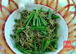 凉拌木兰芽的做法图解5
