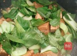 豆腐烧油菜的做法图解9