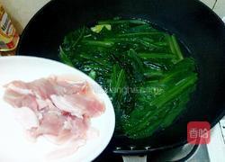 苦麦汤的做法图解5