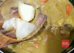 咖喱鸡肉的做法图解12