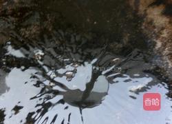 蔬菜虾皮面的做法图解15