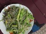 豆芽炒竹笋