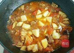 西红柿土豆炖牛肉的做法图解9