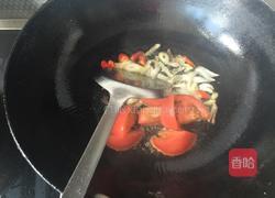 素炒杏鲍菇的做法图解3