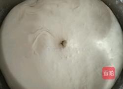 酱肉包子的做法图解1