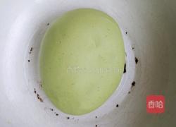 彩色饺子皮的做法图解4