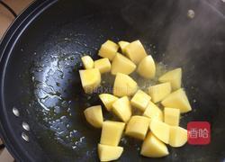 西红柿土豆烧牛肉的做法图解4
