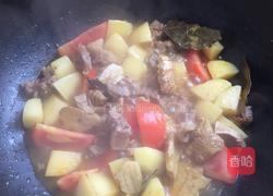 西红柿土豆烧牛肉的做法图解5