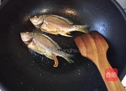 酸汤鱼的做法图解5