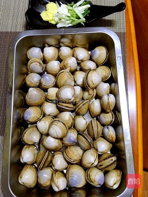 原汁白蛤