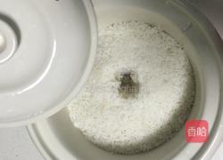 端午美食提前备— 酿米酒的做法图解5