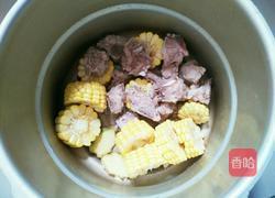 玉米炖排骨的做法图解4