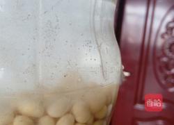 自发黄豆芽的做法图解2