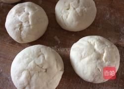 葱油花卷的做法图解3