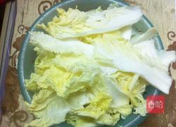 圆白菜炒肉的做法图解3