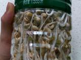 自制绿豆芽