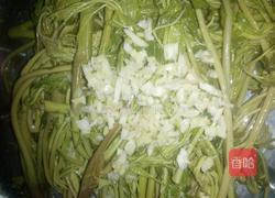 腌制香椿芽的做法图解5