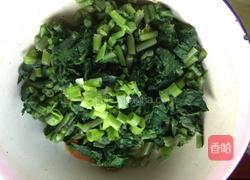 凉拌萝卜缨的做法图解8