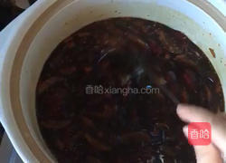 桂圆姜枣膏的做法图解9
