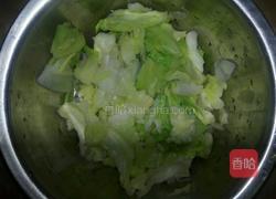 素炒洋白菜的做法图解2