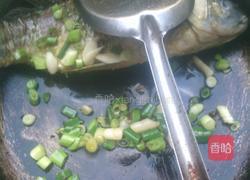 鲫鱼汤的做法图解4