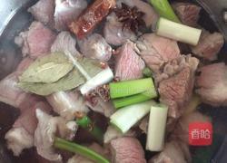 牛肉炖西红柿的做法图解6