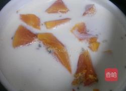 木瓜炖牛奶的做法图解4